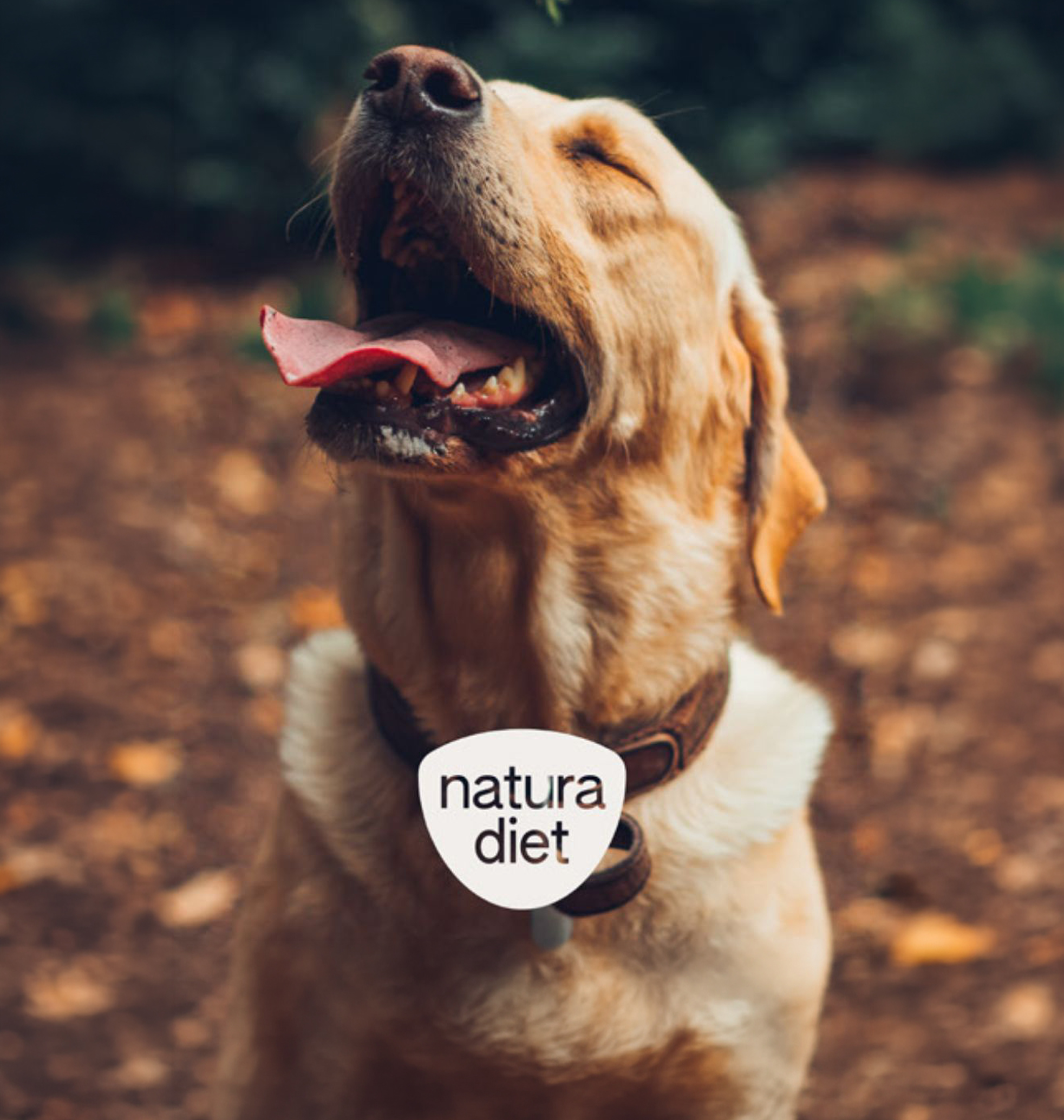 Natura Diet