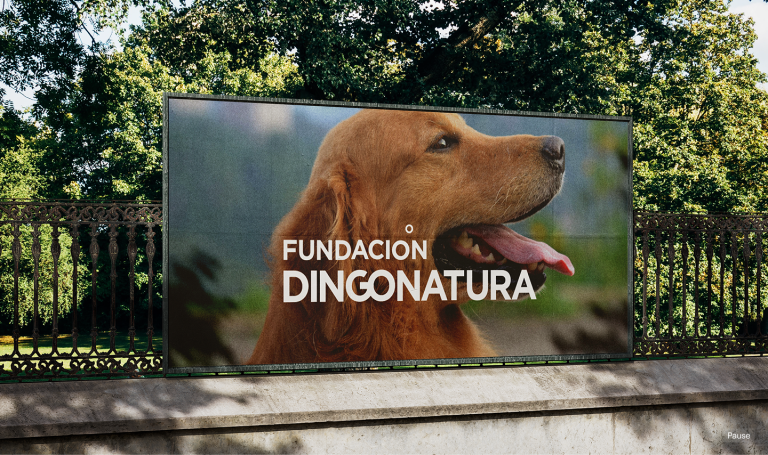 Fundación Dingonatura